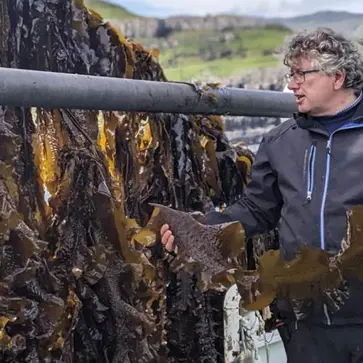 F639ff9a31a3de2a5709062b28c5be4531a2fb68